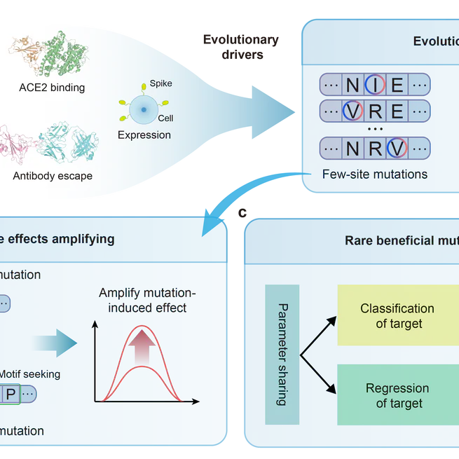 E2VD: a unified evolution-driven framework for virus variation drivers prediction