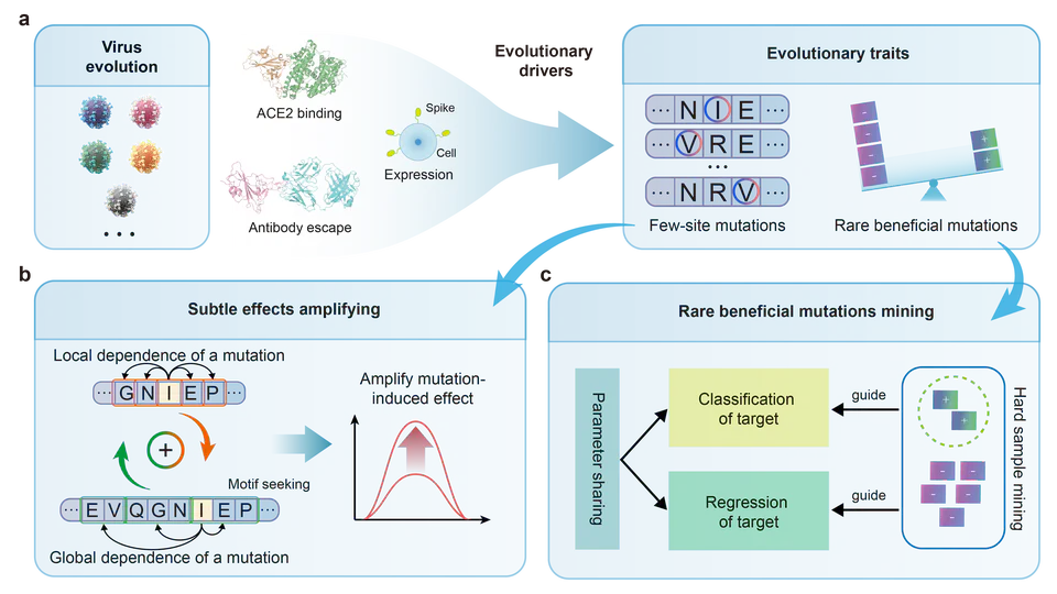 E2VD: a unified evolution-driven framework for virus variation drivers prediction